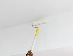 Professional Painting Services 
