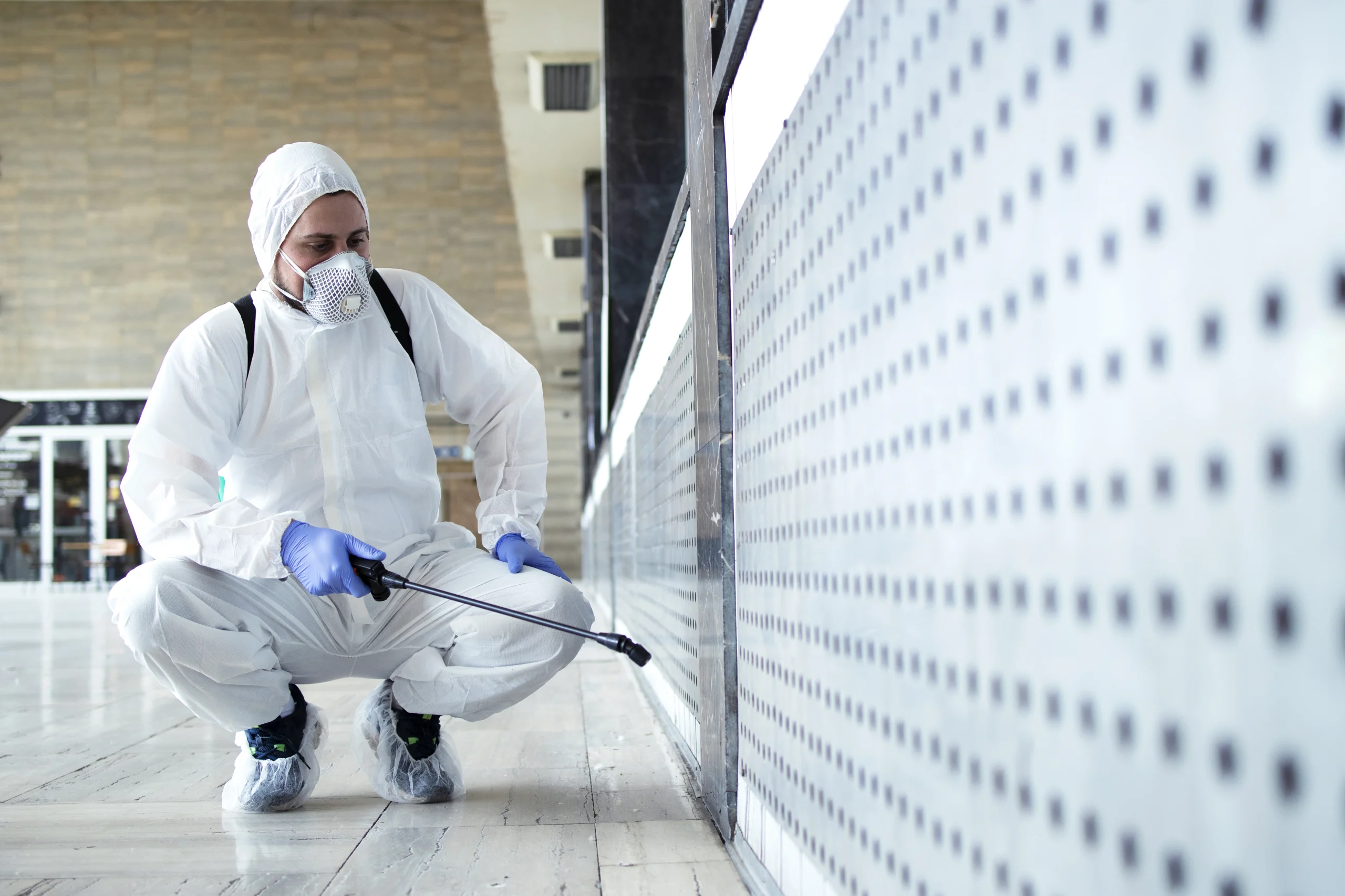Pest Control Services in Dubai