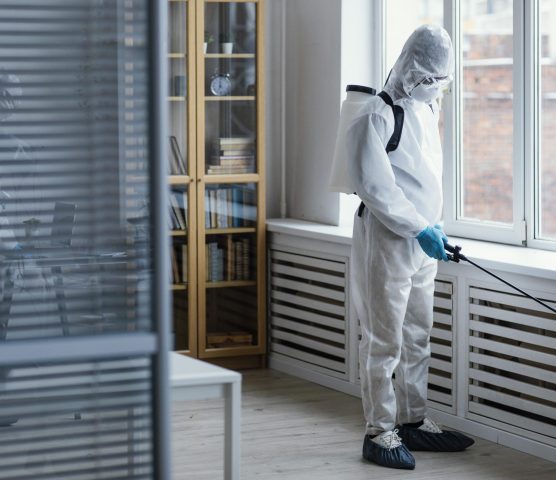 people-disinfecting-biohazard-area